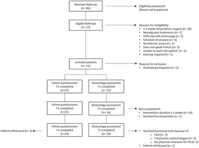 Assessing real-world implementability of a multimodal group-based tele-prehabilitation program in cancer care: a pragmatic feasibility study
